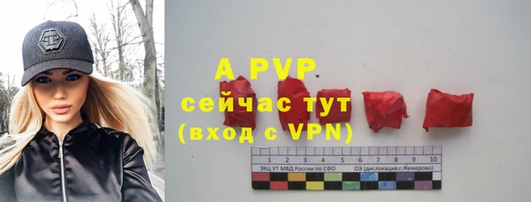 ПСИЛОЦИБИНОВЫЕ ГРИБЫ Костерёво