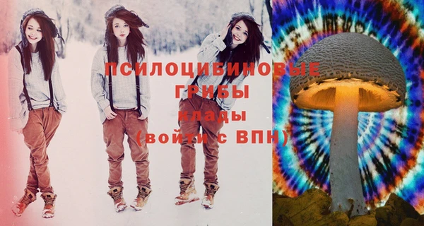 PSILOCYBIN Балабаново