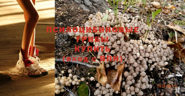PSILOCYBIN Балабаново