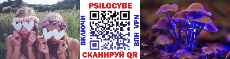 ссылка на мегу   магазин продажи   Пласт  Псилоцибиновые грибы MAGIC MUSHROOMS 